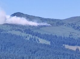 Vâlcea: Incendiu de pădure într-o zonă greu accesibilă de la Câineni