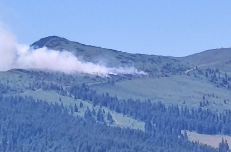Vâlcea: Incendiu de pădure într-o zonă greu accesibilă de la Câineni