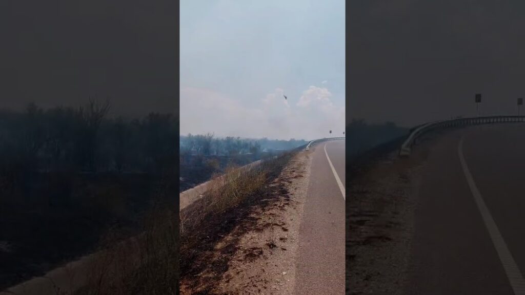 30 de hectare de mirişte, făcute scrum la ieşirea din Calafat