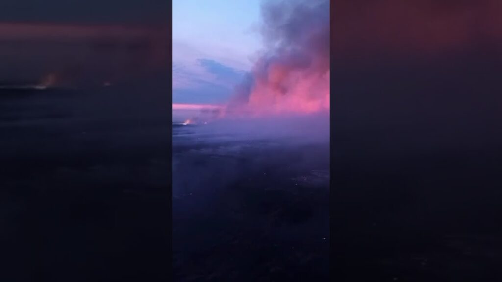 (VIDEO) Incendiu puternic de vegetaţie uscată şi mirişte la Maglavit