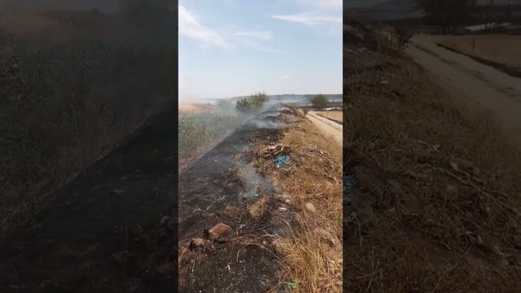 Pompieri din Craiova Luptă cu un Incendiu Vast de Vegetație și Plastic
