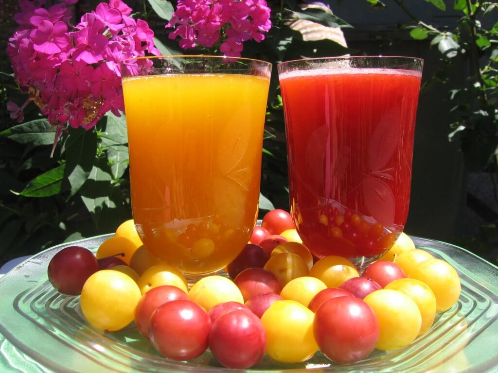 Cum să Preparezi Nectarul de Corcodușe - Rețetă Simplă și Delicioasă