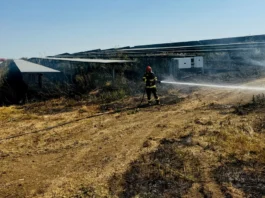 30.000 de panouri fotovoltaice au ars într-un incendiu plecat de la un utilaj agricol
