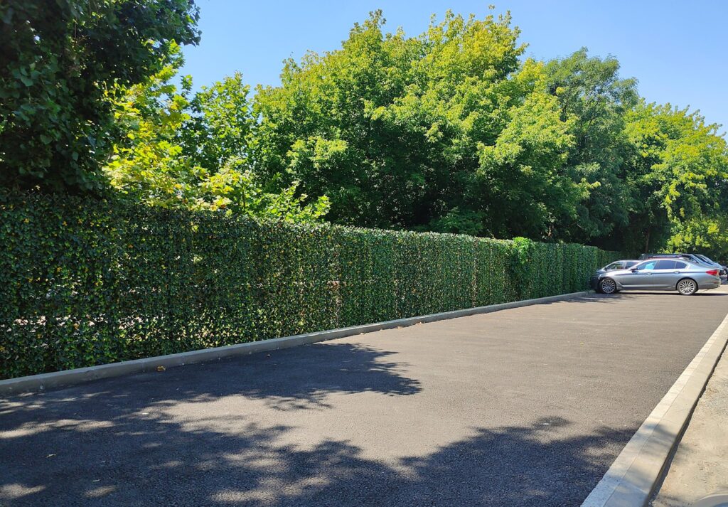 Noi Parcări Înlocuiesc Garajele Vechi lângă Grădina Botanică