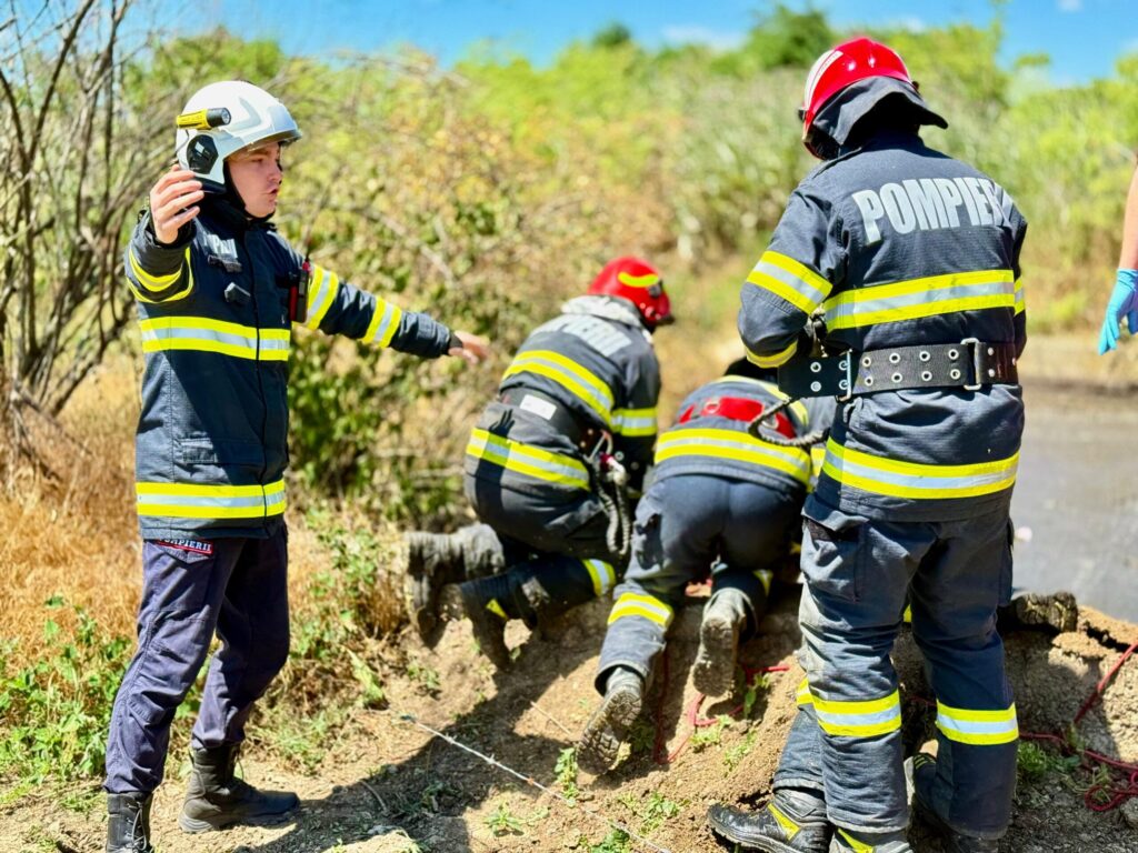 Un bărbat a murit încercând să salveze un viţel căzut într-o fosă