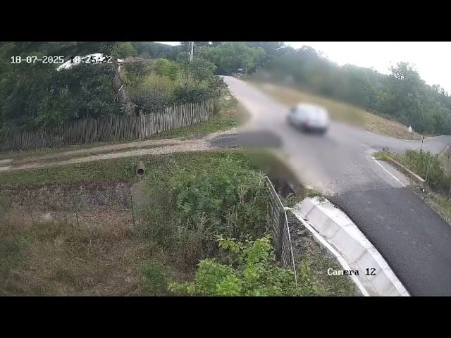 Vâlcea: Două persoane, sancţionate pentru că au abandonat mai mulți câini