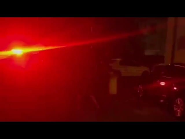 (VIDEO) Scandal în familie la Coțofenii din Față. Patru persoane reținute după un conflict violent