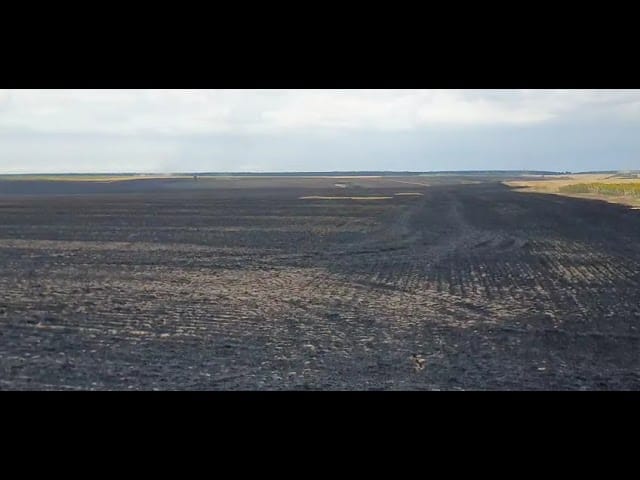 150 de Hectare de Grâu și Miriște Mistuite la Icoana