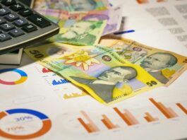 Cele mai mici salarii sunt înregistrate în Mehedinți, Giurgiu și Teleorman