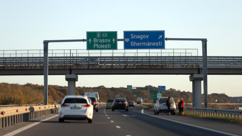Vaci pe autostradă în zona Voluntari