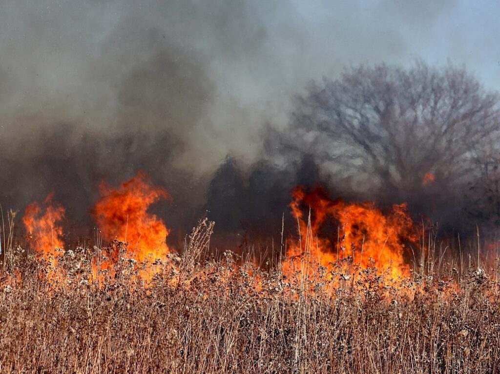 Vâlcea: Incendiu de vegetaţie uscată în localitatea Lăcusteni