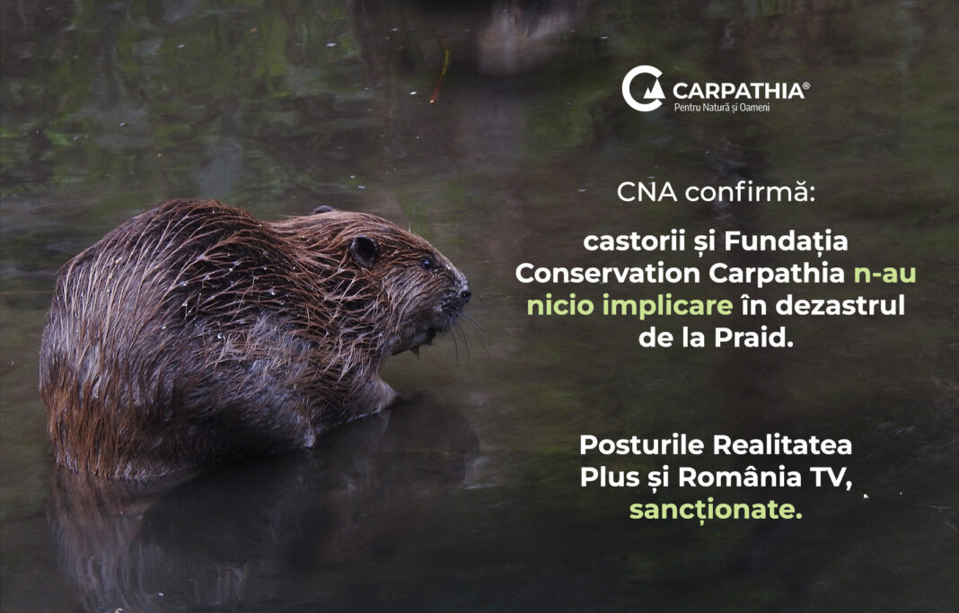 CNA sancționează televiziunile care au promovat dezinformarea privind castorii și Salina Praid
