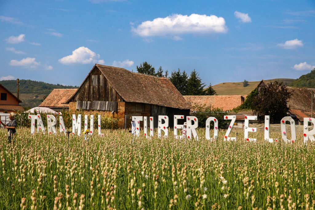 Festivalul tuberozelor din Hoghilag – parfum, tradiție și arhitectură săsească, în inima Transilvaniei