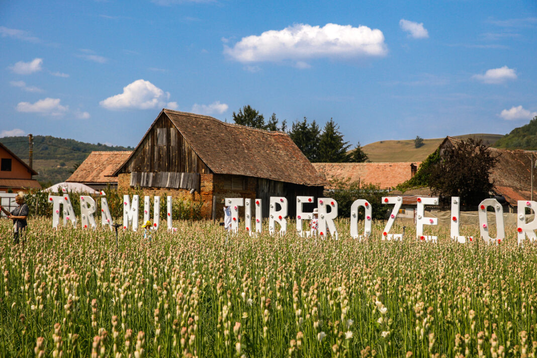 Festivalul tuberozelor din Hoghilag