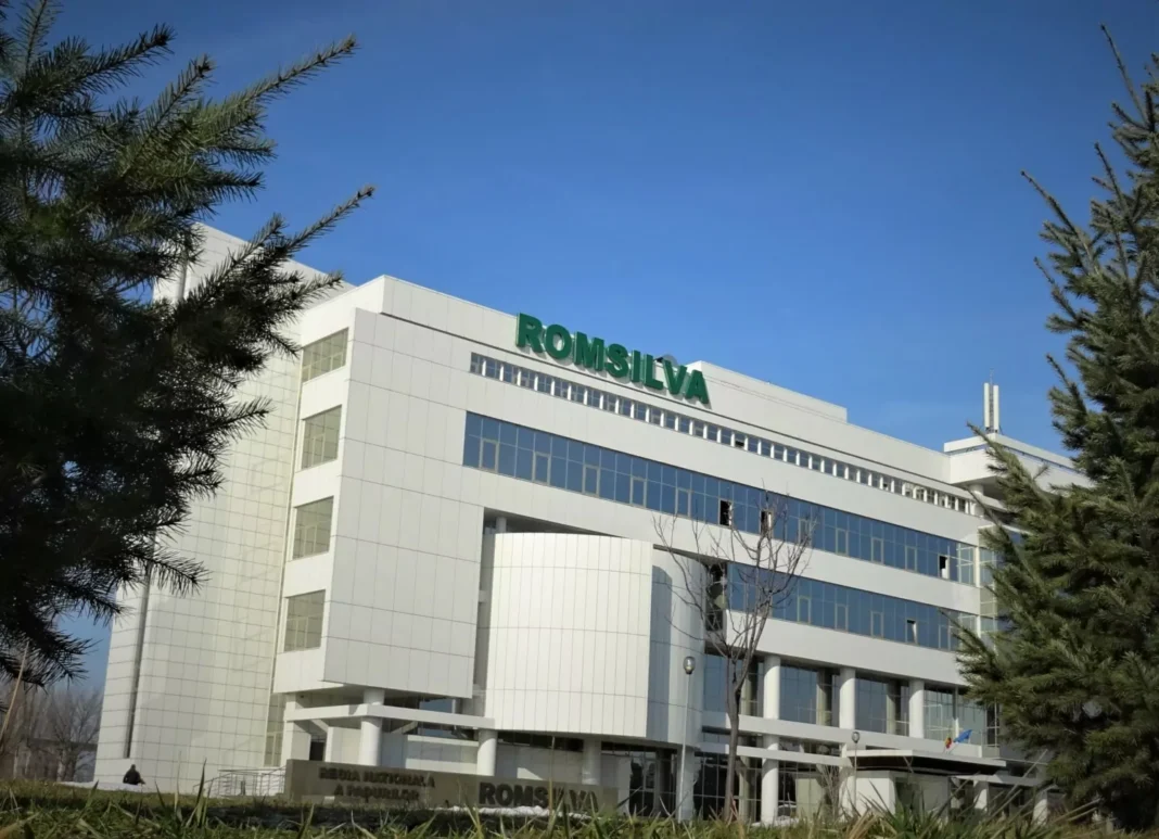 Dezbatere publică pentru selecţia şefului interimar de la Romsilva, organizată de Ministerul Mediului