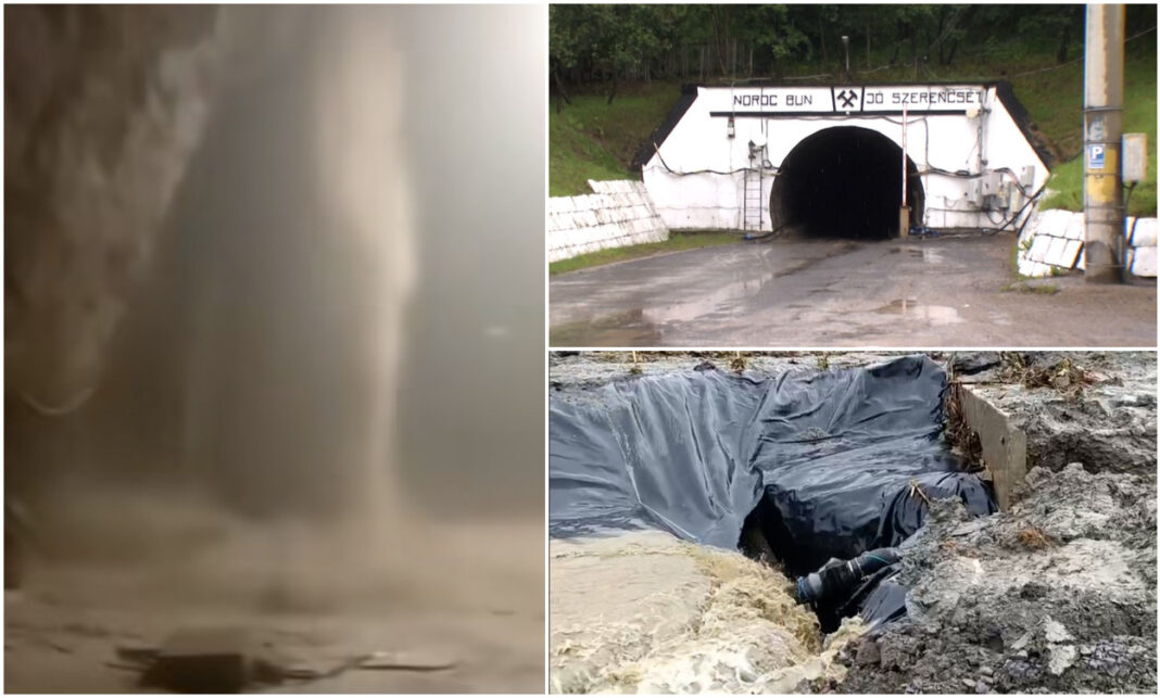 Noi probe în dosarul dezastrului ecologic confirmă inacțiunea sistematică a autorităților române