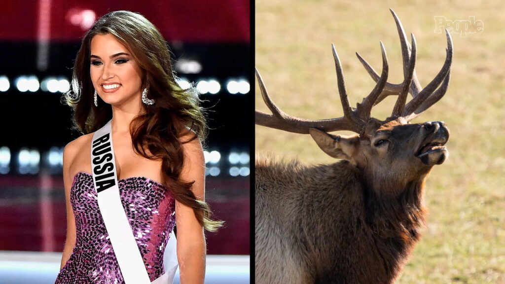 Kseniya Alexandrova, Ex-Miss Rusia, Decedată după Impactul cu un Elan în Rusia