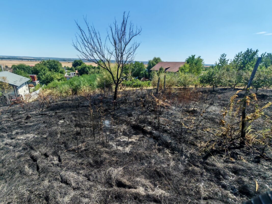 Vâlcea: Incendiu la o livadă și o vie din Prundeni