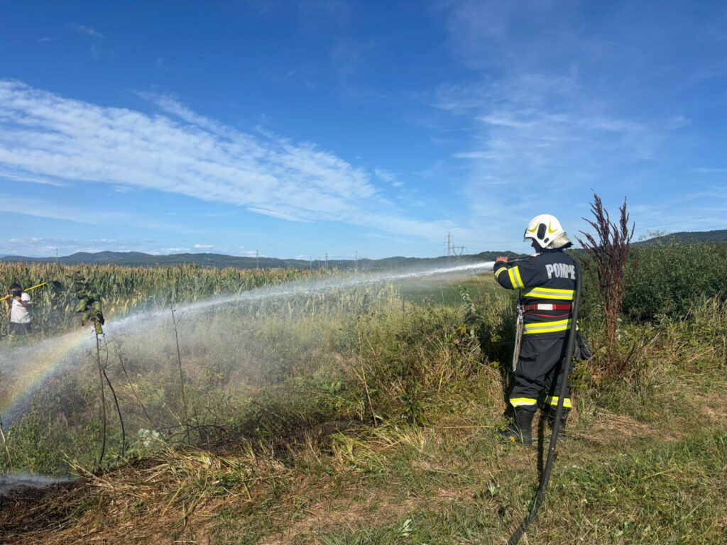Vâlcea: Persoană rănită într-un incendiu de vegetație, la Golești