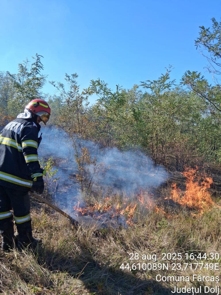 Pompieri din Dolj Luptă cu Incendii Vaste de Vegetație Uscată în Diferite Zone ale Județului