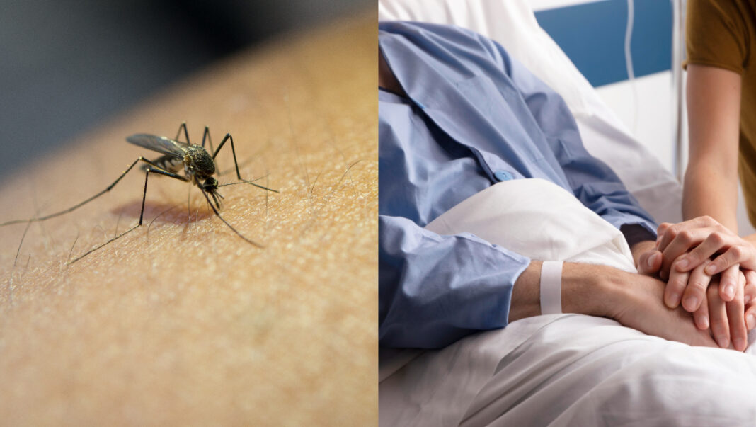 INSP avertizează că a crescut numărul de cazuri de infecții cu virusul West Nile