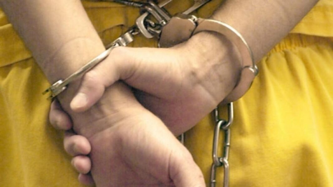 Bandă de hoți români în Austria, destructurată la noi în ţară Bandă de hoți români în Austria, destructurată la noi în ţară