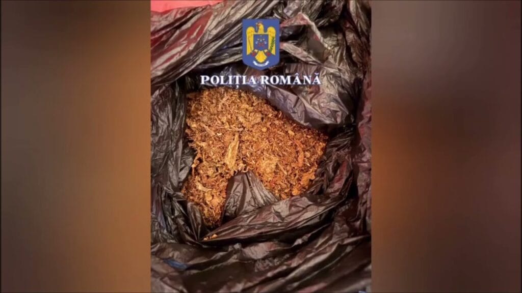 (VIDEO) Contrabandă cu tutun și țigarete – șapte percheziții și mai multe persoane audiate