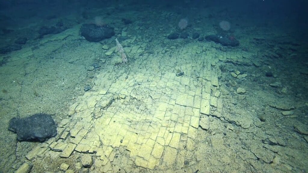 (VIDEO) Un drum pavat a fost descoperit pe fundul Oceanului Pacific