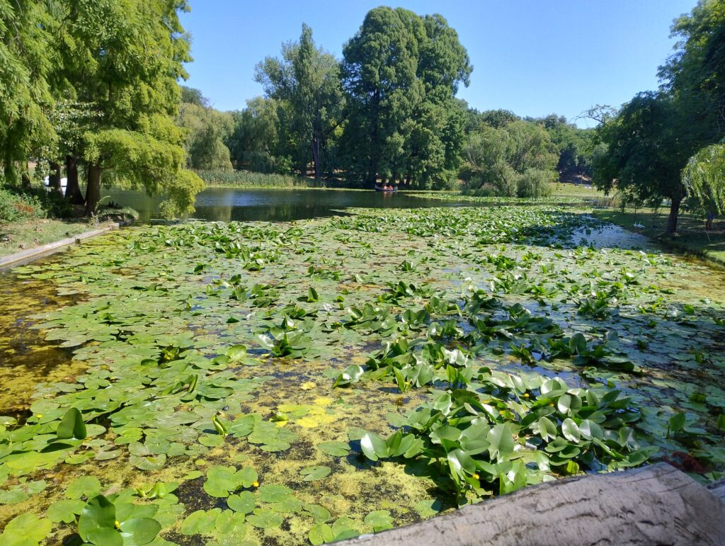 Cum va fi vremea în următoarele patru săptămâni