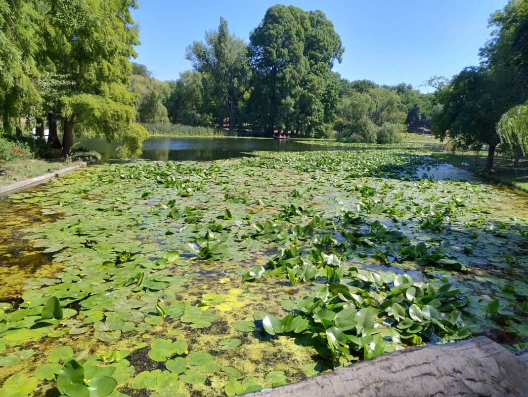 Cum va fi vremea în următoarele patru săptămâni