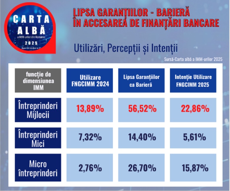 (VIDEO) FNGCIMM garantează un parteneriat strategic pentru afacerile de toate tipurile