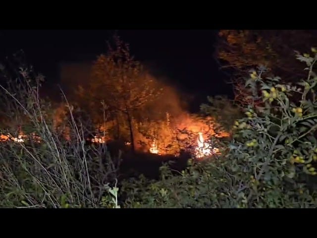 (VIDEO) Incendiu la vegetație uscată în comuna Milcov