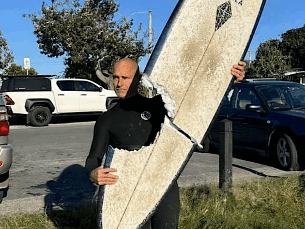 Un surfer a scăpat nevătămat după ce un rechin alb i-a rupt placa în două 
