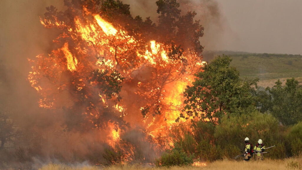 (VIDEO) Spania cere ajutor european pentru a combate incendiile în timpul celui mai lung val de căldură din istorie