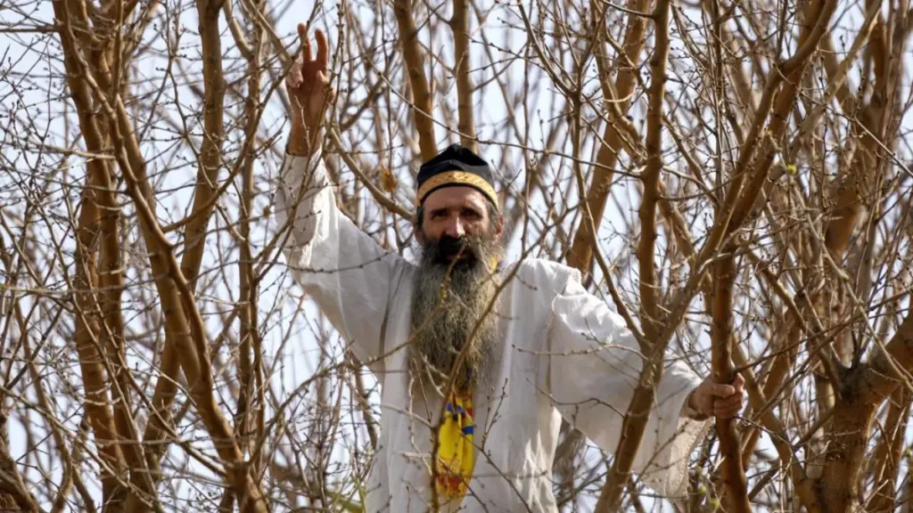 Cezar Avrămuță, Stegarul Dac, Escaladează Gardul și Se Refugiază într-un Pom la Rahova