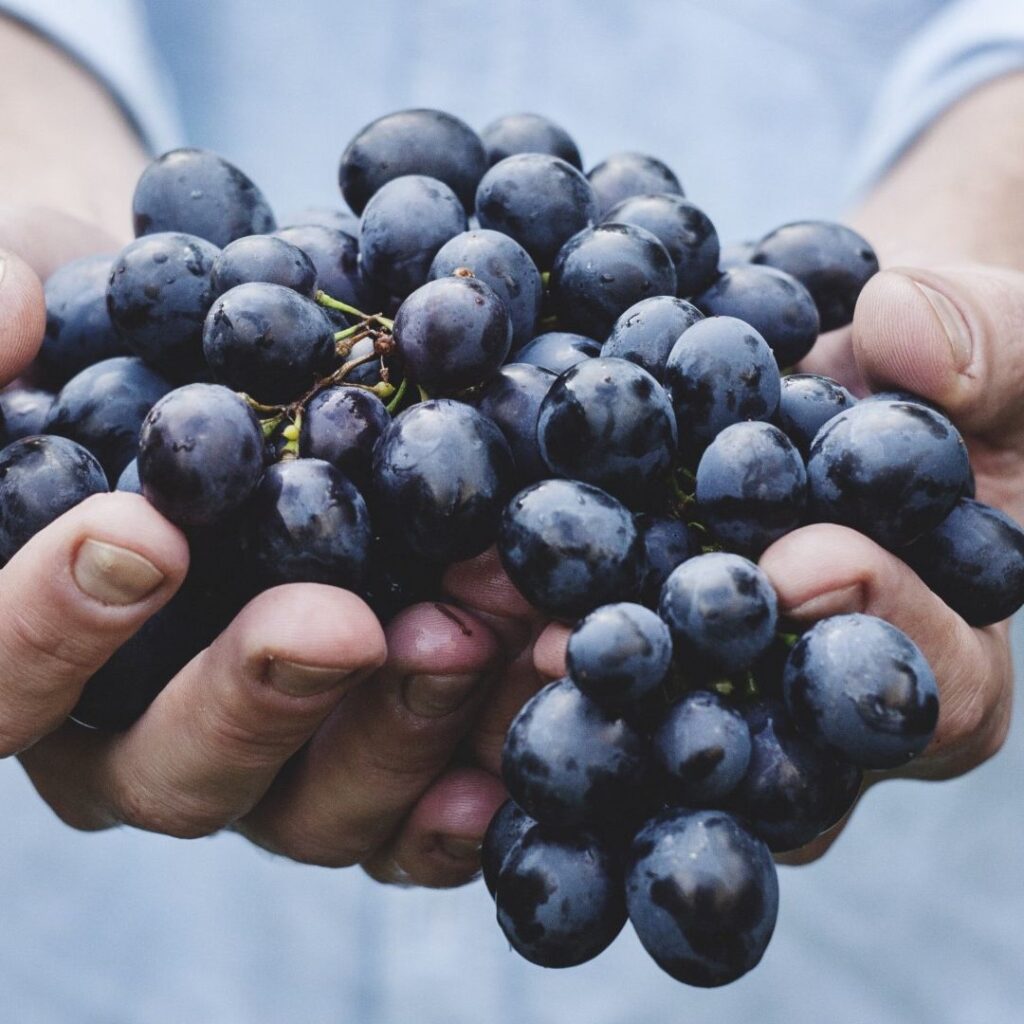 Strugurii – un aliat puternic pentru sănătate: antioxidanți, inimă, ochi, oase și memorie