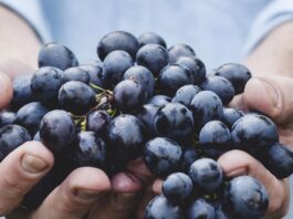 Strugurii sunt bogați în antioxidanți, care pot preveni bolile cronice