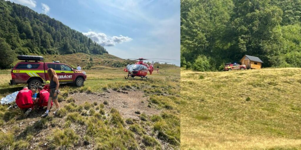 Copil de 7 ani, mușcat de viperă în munții Gutâi! Acțiune contracronometru a salvamontiștilor