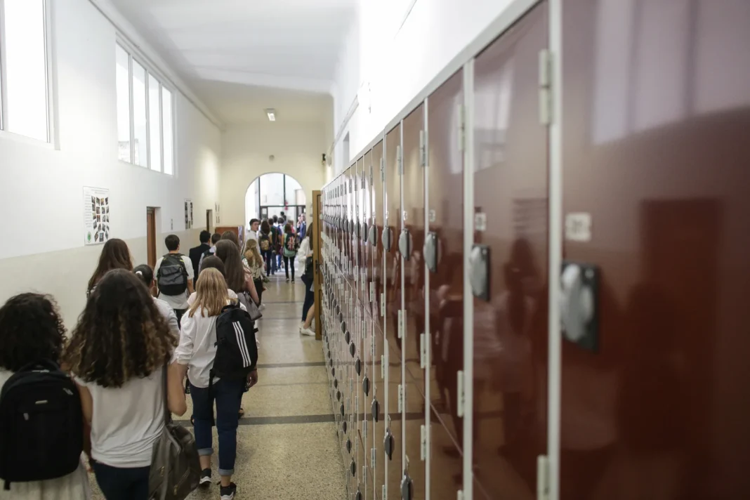 Guvernul a aprobat patru tipuri de burse în învăţământul preuniversitar de stat