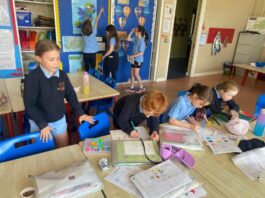 Evaluările naționale vor cuprinde și itemi precum cei din testările PISA