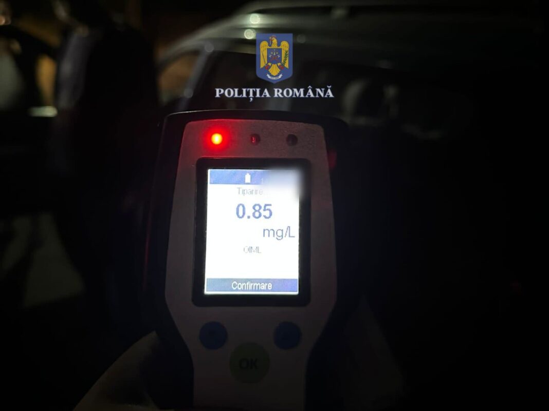 Șofer băut, depistat la Vișina-Nouă