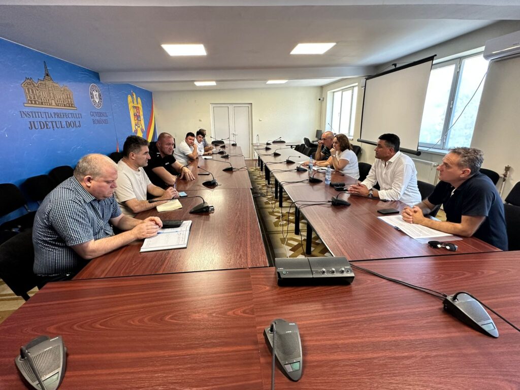 Ședință de urgență la prefectură pentru ursul din Dolj