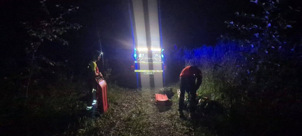 Un bărbat a murit după ce a fost lovit de un copac în pădure