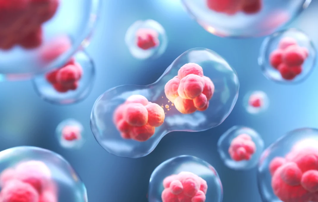 Aproape 110.000 de români, înscrişi în registrul naţional al donatorilor de celule stem