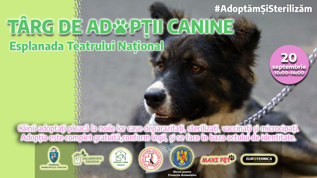 Târg de adopții canine la Craiova