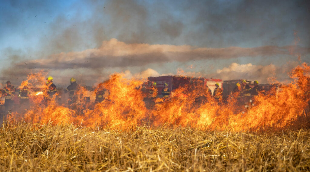 O femeie a murit într-un incendiu de vegetaţie uscată la Robăneşti