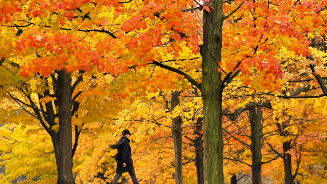 Cum va fi vremea în următoarele patru săptămâni Cum va fi vremea în următoarele patru săptămâni