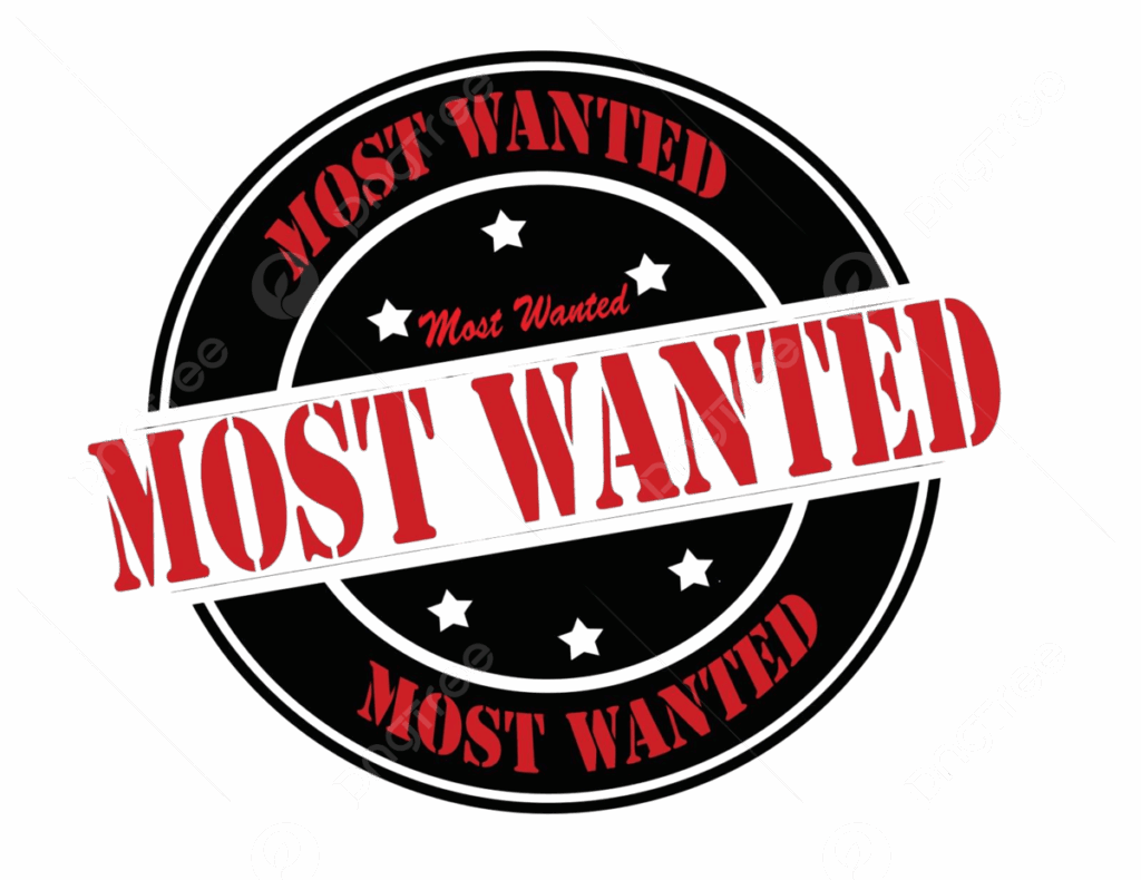 Urmărit internațional din categoria „Most Wanted”, adus în țară de Poliția Română