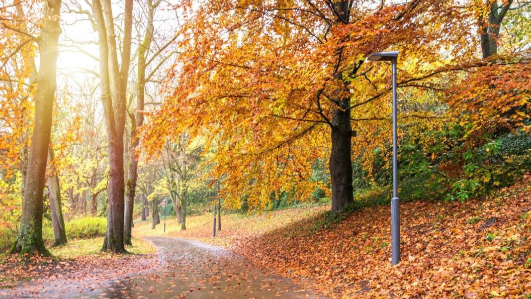 Cum va fi vremea în următoarele patru săptămâni