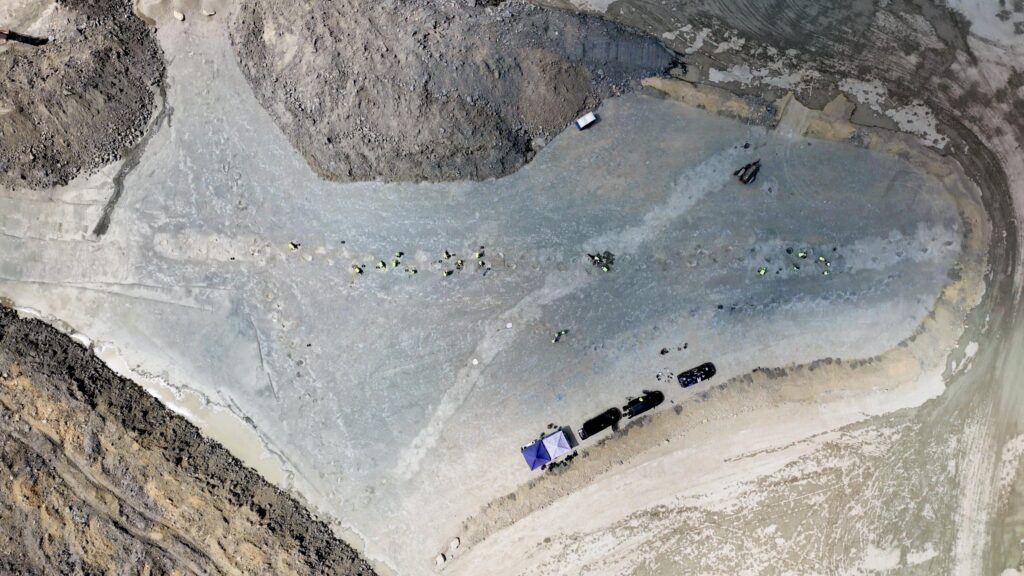O descoperire uriașă în Marea Britanie: urme de dinozaur vechi de 166 de milioane de ani